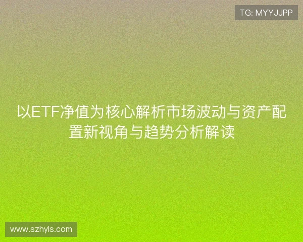 以ETF净值为核心解析市场波动与资产配置新视角与趋势分析解读